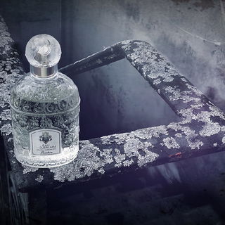 Hinter verborgenen Türen