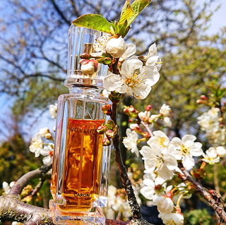 Montaigne (2007) (Eau de Parfum) - Caron