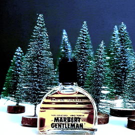 Marbert Gentleman (Eau de Toilette) - Marbert