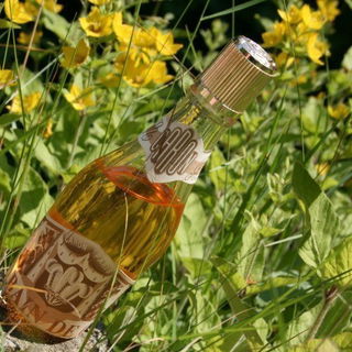 in meinem Garten aufgenommen :-)