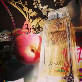 Nilang (2011) (Eau de Parfum) - Lalique
