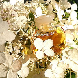 Beautiful (Eau de Toilette) - Estēe Lauder