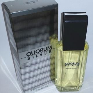 Quorum Silver (Eau de Toilette) - Puig