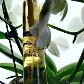 Grasse Experience - Milton-Lloyd / Jean Yves Cosmetics