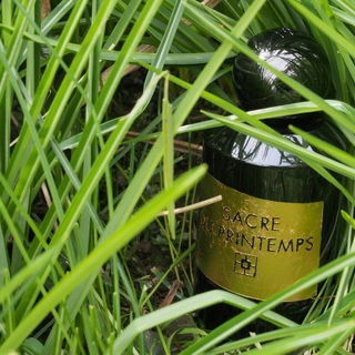 Sacre du Printemps by YS Uzac