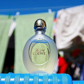 Aire - Loewe