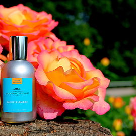 Vanille Ambre - Comptoir Sud Pacifique