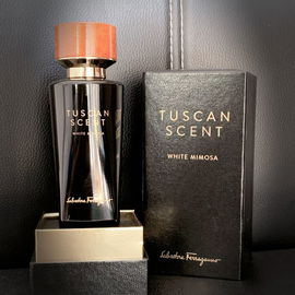 White Mimosa - Salvatore Ferragamo
