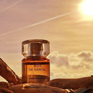 Bois de Santal von Karl Lagerfeld