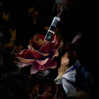 L'Opera des Rouges et des Roses von DSH Perfumes