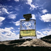 Dem Himmel so nah (von Rosie88)