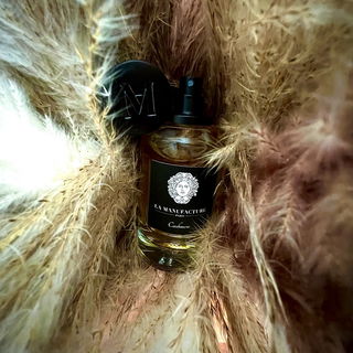 …📷🌍 Thank you. Danke schön. Merci beaucoup. Muchas gracias. Dōmo arigatō gozaimasu 💐…