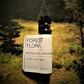 Als wir uns in einen Traum aufmachten (by Floyd)