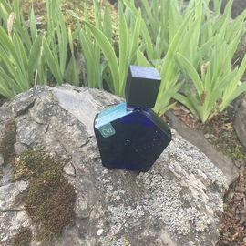 Nr 04 - Lavendel  am Rande des Waldes