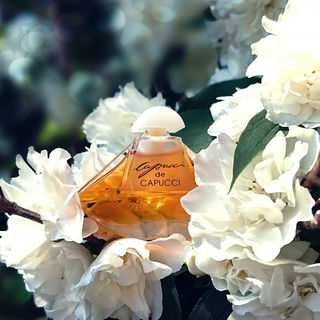 Capucci de Capucci (Eau de Toilette) - Roberto Capucci