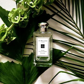 Fig & Lotus Flower - Jo Malone
