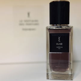 Muse - Yves Saint Laurent