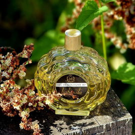 ***Habanita genießt die Spätsommersonne und verbindet die Wärme mit ihrem Vintage-Charme. Ich freu mich über Euren Besuch. ☺️***