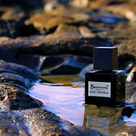 Eau Trouble - Brecourt