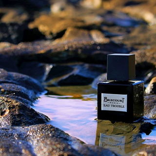 Eau Trouble - Brecourt