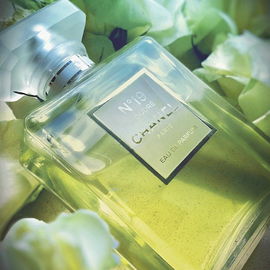 N°19 Poudré - Chanel