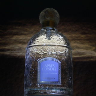 Eau des Merveilles (Eau de Toilette) - Hermès