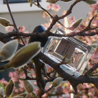 Armani Privé - Figuier Eden - Giorgio Armani