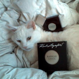 Kapsule Floriental  - Karl Lagerfeld