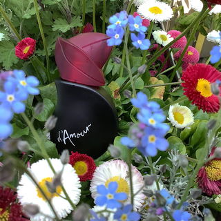 Le Jardin d'Amour (Eau de Toilette) - Max Factor