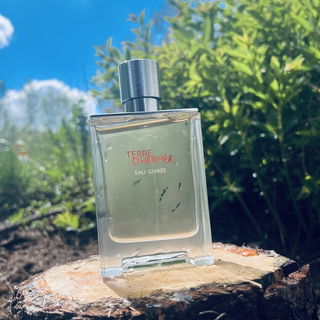 Terre d'Hermès Eau Givrée von Hermès