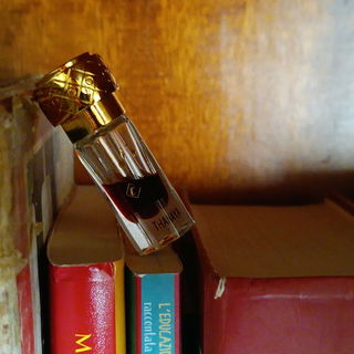 Thanaya (Perfume Oil) - Elixir Attar