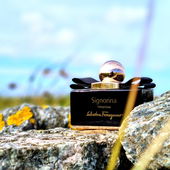 Dünen Teil I (von Ahoi)