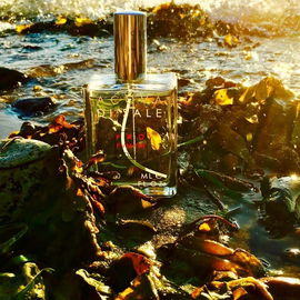 Acqua di Sale - Profumum Roma
