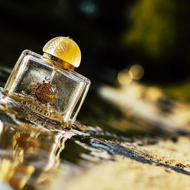 Jubilation 25 Woman (Eau de Parfum) - Amouage