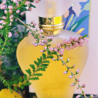 Moments (Eau de Toilette) von Priscilla Presley