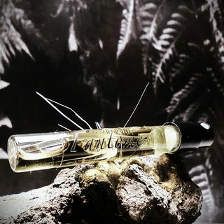 Fantôme de la Nuit by Prin