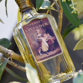 English Lavender / Senteur Lavande Anglaise / Old English Lavender (1873) (Perfume) by Yardley