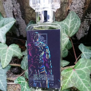 His Aspiration (Extreme Sport Edition) / His Aspiration Extreme Sport Edition von The Dua Brand