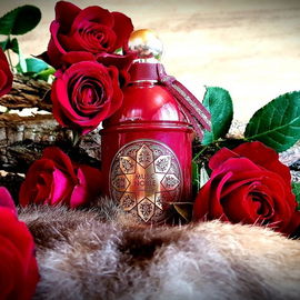 Musc Noble - Guerlain