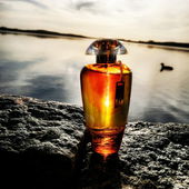 Von der Sonne geküsst :-) (by Scarletrose)