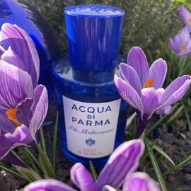 Der Frühling ist da! 🌸🌷🌺 Danke für‘s Anschauen.🙏