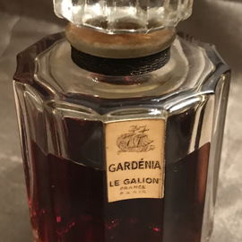 Gardénia - Le Galion