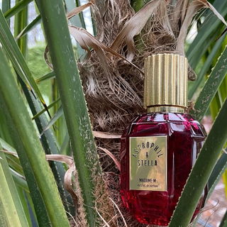 Madame M by Astrophil & Stella