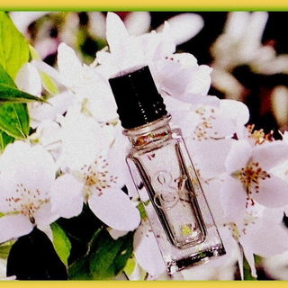 Jasmin & Bergamote - L'Occitane en Provence