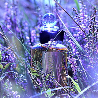 Cornubia - Penhaligon's