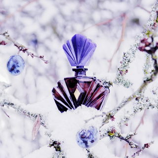 Passion (Eau de Toilette) - Elizabeth Taylor