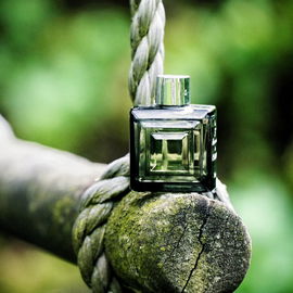 Le 3ᵉ Homme (Eau de Toilette) - Caron