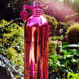 Deep Roses - Montale