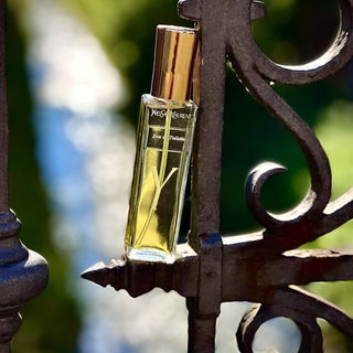 Y (1964) (Eau de Toilette) von Yves Saint Laurent