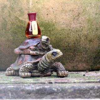 Vanille von Diggers Garden